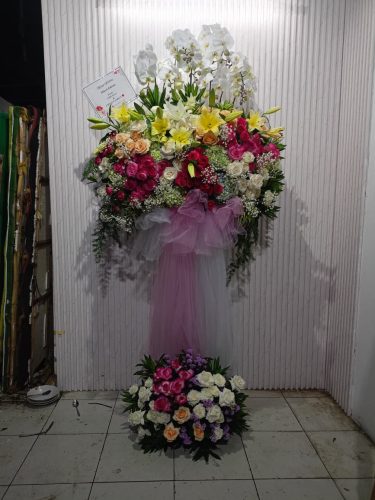 WhatsApp-Image-2026-05-12-at-14.35.11