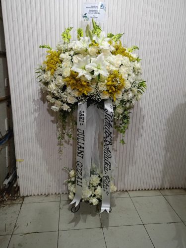 WhatsApp-Image-2026-05-12-at-14.35.12-2