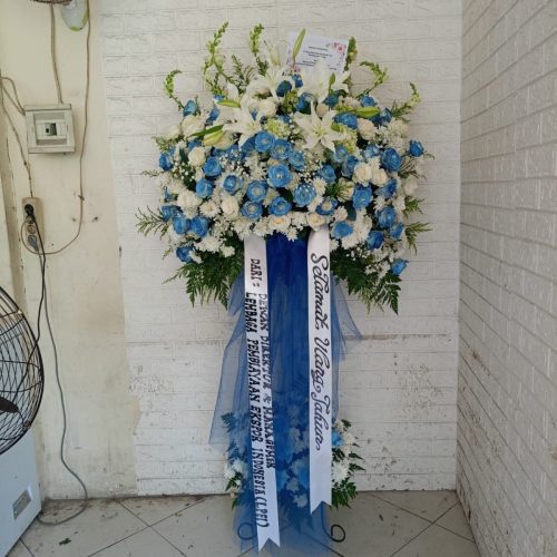 WhatsApp-Image-2026-05-12-at-14.35.12
