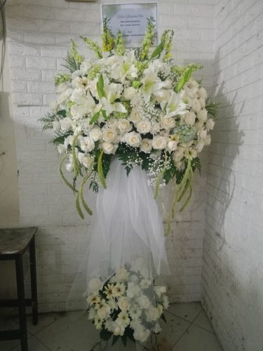 WhatsApp-Image-2026-05-12-at-14.35.20-2