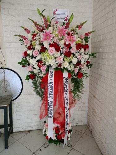 WhatsApp-Image-2026-05-12-at-14.35.21