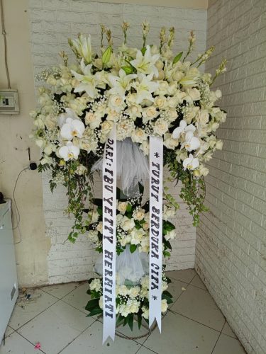 WhatsApp-Image-2026-05-12-at-14.35.23-2