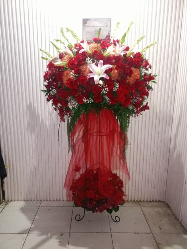 WhatsApp-Image-2026-05-12-at-14.35.24-1