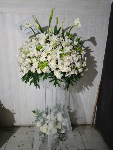 WhatsApp-Image-2026-05-12-at-14.35.26-1